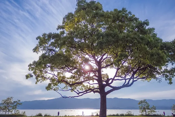 琵琶湖の夕方 眩しい西日が湖面を輝かせる
